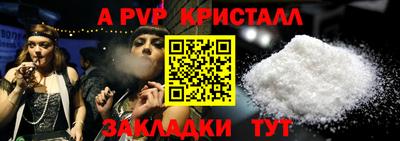 шишки Гатчина